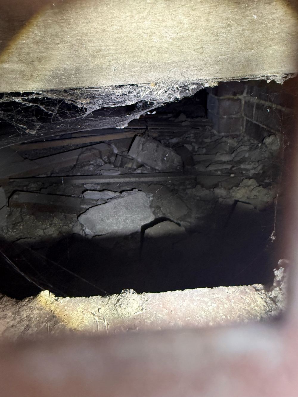 Termites around Clyde North homes, Clyde North
