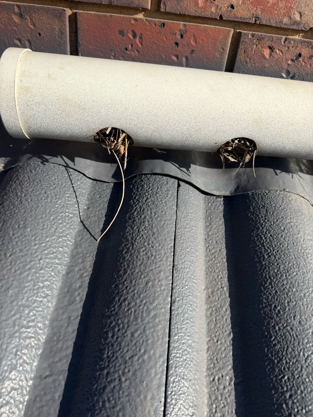 Blocked downpipe spreader dumping water onto flashing instead of a drain, found during a defect investigation inspection in Aspendale Gardens